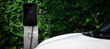 Side view of progressive electric vehicle parking next to public charging station with greenery, natural foliage background as concept for renewable and clean energy for eco-friendly car.