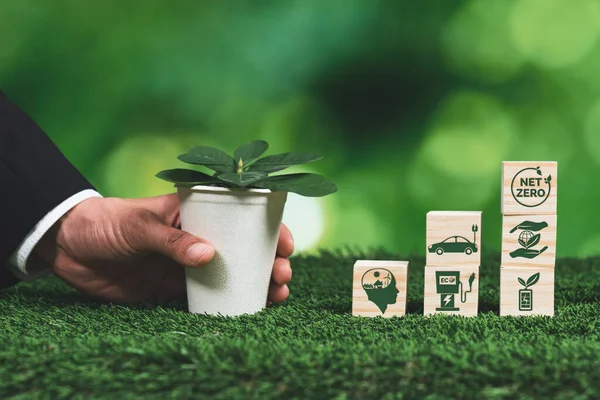 Üzletember Tartja Növény Pot Net Nulla Kocka Szimbólum Erdőregeneráció Co2 — Stock Fotó