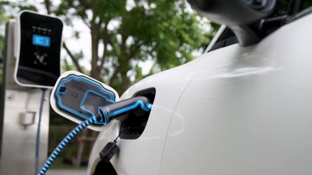 利用自然绿色停车场生态清洁充电站的未来智能电动汽车充电器为电动汽车充电 使用替代能源的未来环保电动车 仔细阅读 — 图库视频影像