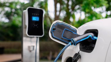 Elektrikli araba, çevre yeşil parkındaki elektrik kablosu ve yeşillik yeşili yeşillik yapraklarıyla şarj etmek için şarj istasyonuna bağlandı. Geleceğin yenilikçi her arabası ve enerji sürdürülebilirliği.