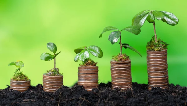 Öko Üzleti Beruházás Vagy Környezet Megőrzése Támogatja Koncepció Érme Halom — Stock Fotó