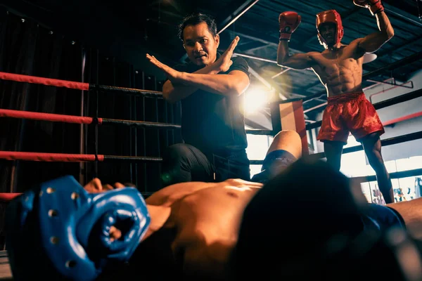 Boxing referee intervene, halting the fight to check fallen competitor after knock out. Referee pauses the action for boxer fighters safety after KO with winner posing in background. Impetus