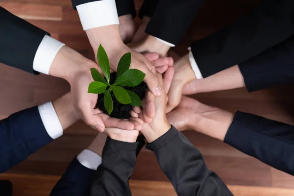 Geschäftsinvestitionen Wiederaufforstung Durch Eine Gruppe Von Menschen Die Pflanzen Zusammenhalten — Stockfoto