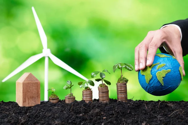 Eco Business Invest Environment Conservation Subsidize Coin Stack Grow Seedling — Stock Photo, Image