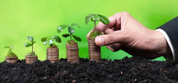 Corporate Business Invests Environmental Subsidies Hand Grow Seedlings Coin Stack — Stock Photo, Image
