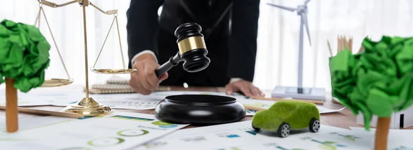 Çevre Koruma Çevre Dostu Mevzuat Yasası Oluşturan Hukukçu Avukat Dünya — Stok fotoğraf