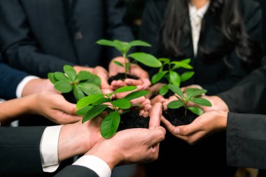 Fabrikayı ayakta tutan bir grup iş adamı tarafından ormanların yeniden ağaçlandırılmasına yapılan çevre dostu yatırım CO2 azaltımını ve doğal korumayı teşvik ederek sürdürülebilir bir gelecekle Dünya 'yı kurtardı. Antika
