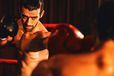 İki atletik ve kaslı vücut boksörü vahşi bir boks maçında karşı karşıya. Boks dövüşçüsü boks ringinde dövüşüyor. Impetus