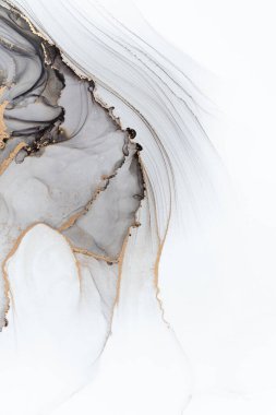 Marble ink abstract art from meticulous original painting abstract background . Painting was painted on high quality paper texture to create smooth marble background pattern of ombre alcohol ink .