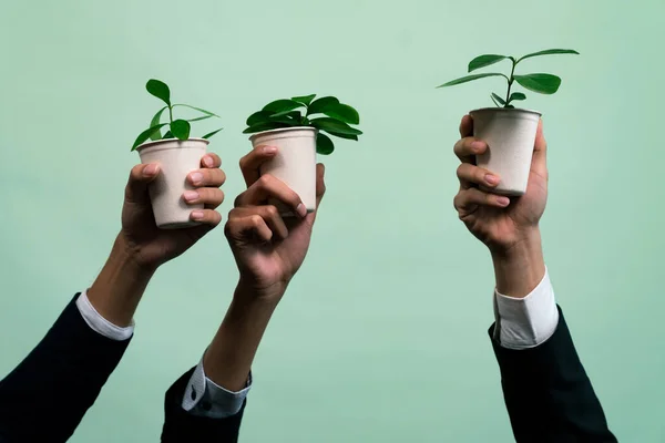 Affärsmän Hand Hålla Växt Kruka Isolerad Bakgrund Återplantering Och Miljömedveten — Stockfoto