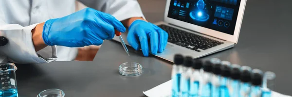 과학자들은 실험실에서 실험을 실시하여 피펫으로부터 한양의 액체를 백신제나 항생제 개발을 — 스톡 사진