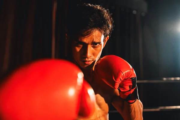 Boxeador Muay Thai Golpea Puño Frente Cámara Posición Lista Para —  Fotos de Stock