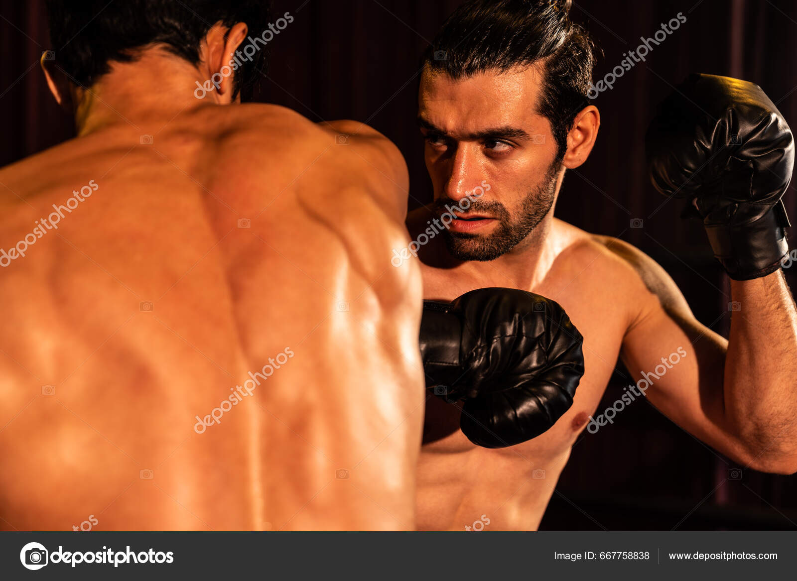 Asian Bodybuilder : Unleashing the Power Within