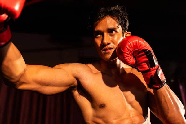 Muay Thai Boxeador Soco Seu Punho Frente Câmera Pronto Para — Fotografia de Stock