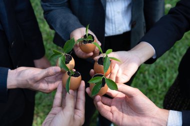 Bir grup iş adamı yumurta kabuğunu gübre tenceresine dönüştürüp, kurumsal yeniden ağaçlandırma projesinin bir parçası olarak filizlenme ve büyümeye olan bağlılığı sembolize ediyorlar. Döngü
