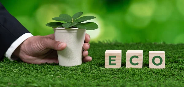 Empresario Sosteniendo Maceta Con Símbolo Cubo Eco Regeneración Forestal Conciencia —  Fotos de Stock