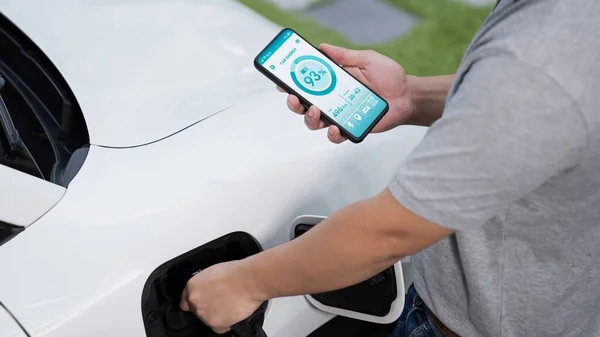스마트 폰에서 배터리 표시를 확인하는 배터리를 충전하는 자동차에 충전기를 인서트 — 스톡 사진