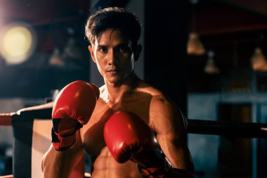 Muay Thai boksörü arka planda boks ekipmanıyla spor salonunda poz vermek için kameranın önünde yumruğunu yumrukladı. Kararlı gözler ve meydan okumaya hazır olun. Impetus