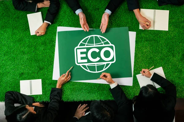 Вид Сверху Панорамный Символ Eco Зеленом Травяном Столе Деловыми Людьми — стоковое фото