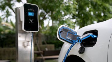 Elektrikli araba, çevre yeşil parkındaki elektrik kablosu ve yeşillik yeşili yeşillik yapraklarıyla şarj etmek için şarj istasyonuna bağlandı. Geleceğin yenilikçi her arabası ve enerji sürdürülebilirliği.