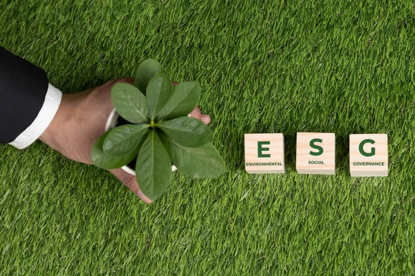 Top View Üzletember Tartsa Növény Pot Esg Kocka Szimbólum Erdőregeneráció — Stock Fotó