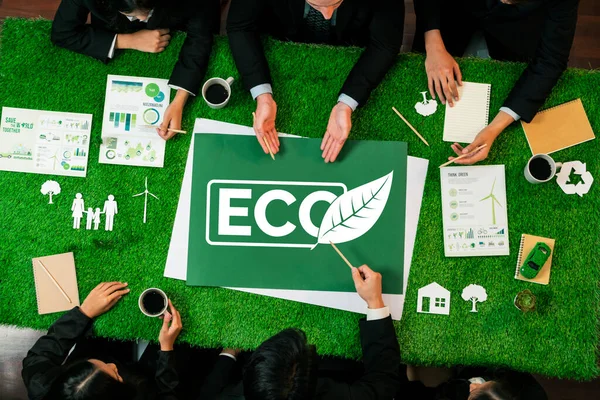Ovanifrån Panoramautsikt Eco Symbol Grönt Gräs Bord Med Affärsmän Planerar — Stockfoto