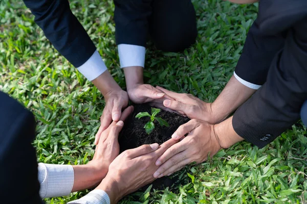 公司高瞻远瞩 致力于企业社会责任原则 减少二氧化碳排放 在肥土生态公司理念的基础上共同培育和培育植物 — 图库照片