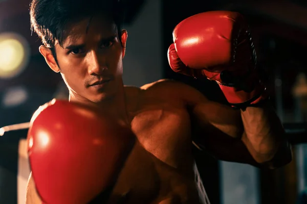 Muay Thai Pugile Pugni Pugno Davanti Alla Telecamera Pronto Combattere — Foto Stock