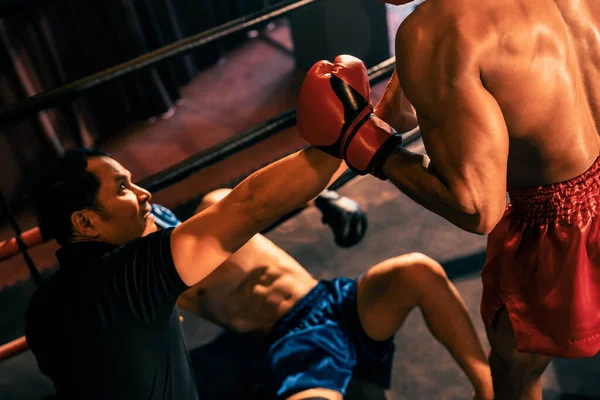 Árbitro Boxeo Intervenir Deteniendo Lucha Para Comprobar Competidor Caído Intenso —  Fotos de Stock