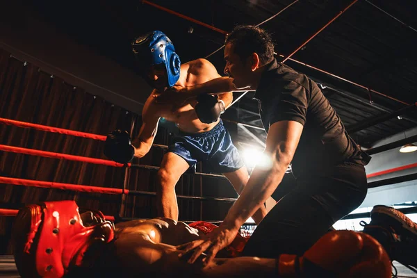Boxing referee intervene, halting the fight to check fallen competitor after knock out. Intense and fierce boxing match with referee pauses the action for boxer fighters safety after KO. Impetus