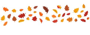 Sonbahar yapraklarının düz tasarımı, sonbahar renkli yapraklar sonbahar sezonunun reklam pankartları için izole edilmiş, vektör illüstrasyonu .