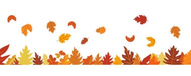 Sonbahar yapraklarının düz tasarımı, sonbahar renkli yapraklar sonbahar sezonunun reklam pankartları için izole edilmiş, vektör illüstrasyonu .