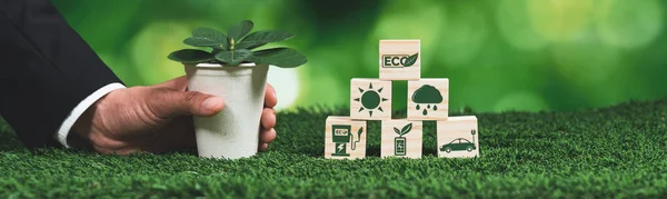 Empresario Sosteniendo Maceta Con Símbolo Cubo Eco Regeneración Forestal Conciencia — Foto de Stock