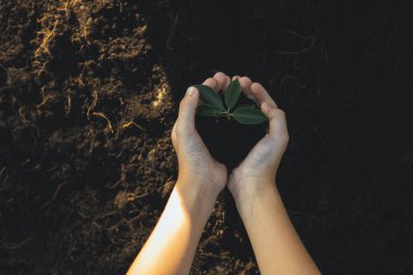 Döllenmiş topraklarda büyüyen ve beslenen bitki CO2 emisyonunun azaltılmasına katkıda bulunuyor ve sürdürülebilir gelecek için ESG çevre sosyal yönetim ilkesi kavramını benimsiyor. Döngü