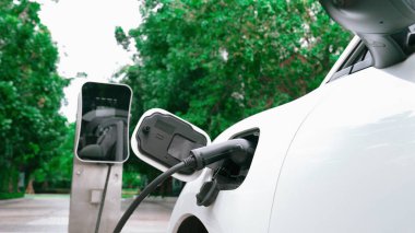 Elektrikli araba parkı ve şarj istasyonunun yanında şarj edilen enerji konseptinin sürdürülebilirliği. Çevresel koruma için yenilenebilir enerji tarafından kullanılan elektrikli araç.