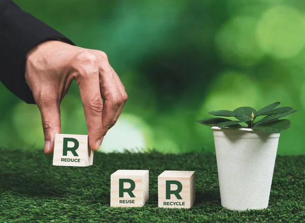 Eco Friendly Business Company Reduce Reuse Recycle Forest Regeneration Greener — Stock Photo, Image