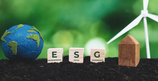 Esg Symbol Kostka Pro Ochranu Firemního Životního Prostředí Udržitelné Esg — Stock fotografie