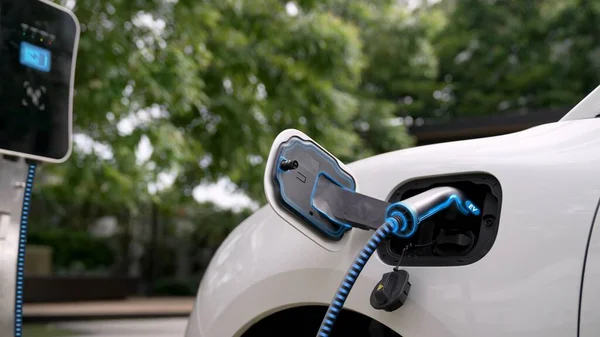 Elektrisk Bil Ansluten Med Laddstation För Att Ladda Batteri Med — Stockfoto