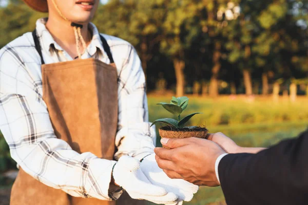 stock image Eco-business company empower farmer with eco-friendly farming practice and clean agricultural technology. Cultivate sustainable future nurturing plants to grow and thrive. Gyre