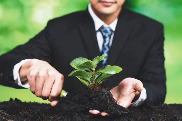 Businessman Grow Young Seedling Fertile Soil Shovel Eco Forest Regeneration — Stock Photo, Image