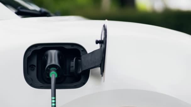 フロントビューEv充電器は 電気充電ステーションから電気を充電するために電気自動車に接続され 光ケーブルが点灯します 最先端のイノベーションと将来のグリーンエネルギーの持続可能性 パーセント — ストック動画
