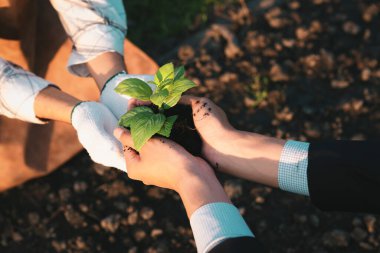 Eko-ticaret şirketi çiftçiye çevre dostu tarım uygulaması ve temiz tarım teknolojisiyle yetki veriyor. Büyümeleri ve gelişmeleri için sürdürülebilir bitkiler yetiştirmek. Döngü