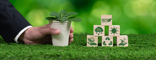 Affärsman Som Håller Växtkruka Med Eco Kub Symbol Skogsförnyelse Och — Stockfoto
