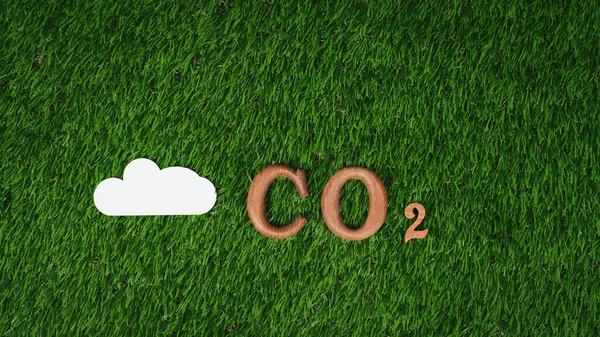 Co2の木製アルファベットテキストは 炭素信用削減キャンペーンや環境意識のためのメッセージを奨励するためのエコシンボルとして ガスまたはクラウドアイコンを備えた生物化学的背景に関するテキストです ガイヤー イングランド — ストック写真