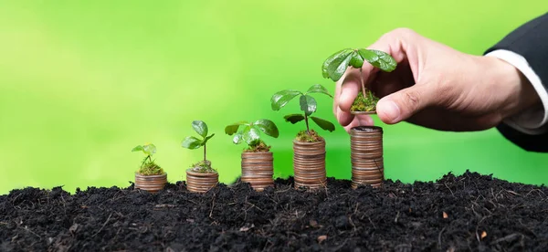 Корпоративный Бизнес Инвестирует Экологические Субсидии Ручным Выращиванием Саженцев Пачке Монет — стоковое фото