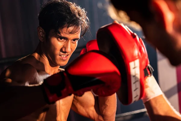 Asiatische Und Kaukasische Muay Thai Boxer Entfesseln Punch Heftigen Boxtrainings — Stockfoto