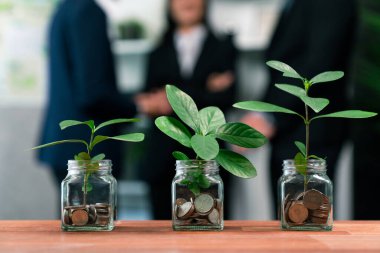 Cam kavanozdaki para tasarrufu ile gösterilen organik para büyümesi yatırım konsepti. Finansal yatırımlar doğayla uyum içinde servetin kökünü kazıdı ve gelişmesini sağladı. Antika