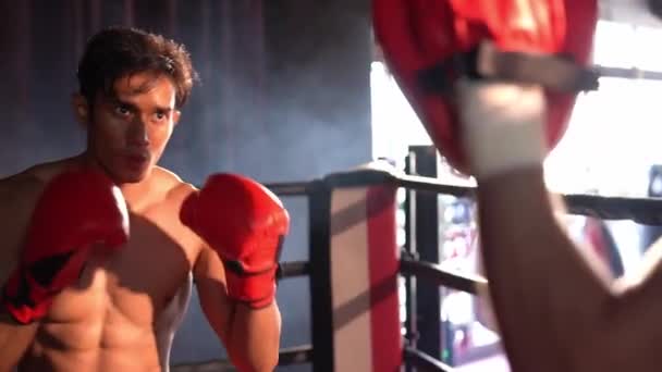 Asiático Caucasiano Muay Thai Boxeador Desencadear Soco Sessão Treinamento Boxe — Vídeo de Stock