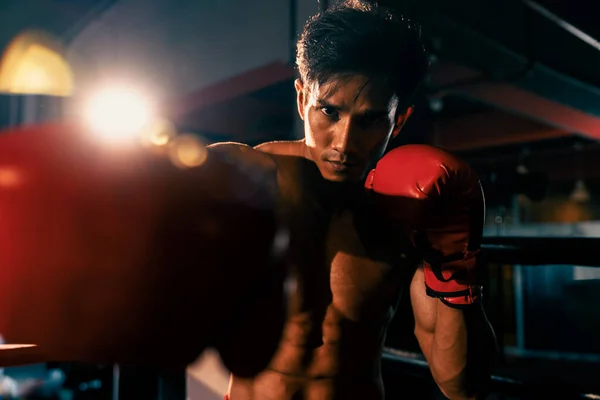 Boxeador Muay Thai Golpea Puño Frente Cámara Posición Lista Para — Foto de Stock