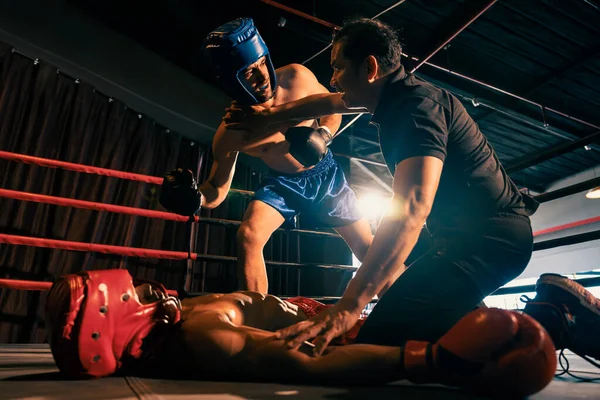 Boxing referee intervene, halting the fight to check fallen competitor after knock out. Intense and fierce boxing match with referee pauses the action for boxer fighters safety after KO. Impetus